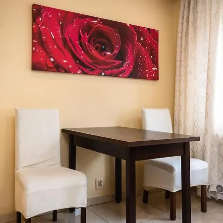 Rynek Standard Studio Apartment *